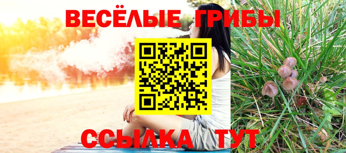 хочу   Псилоцибиновые грибы GOLDEN TEACHER  Вход с VPN  Нововоронеж 